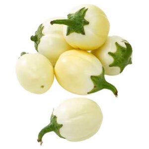 Aubergine