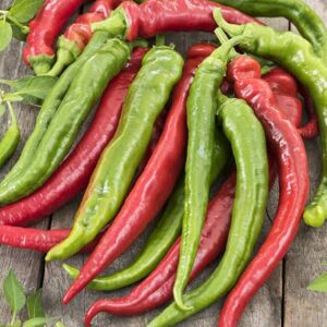 Piment long