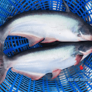 Pangasius